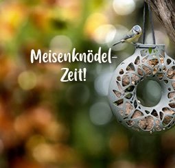Meisenknödelzeit