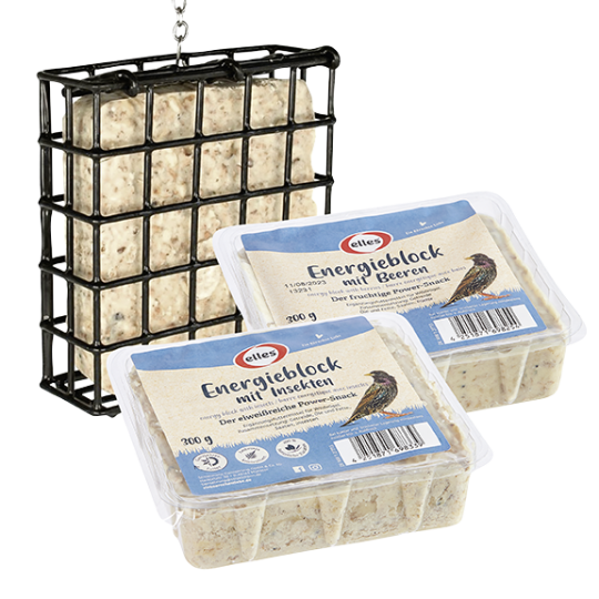 Energie-Box Starterset