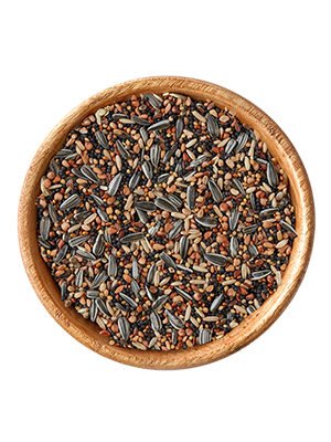 elles - Wildvogelfutter - 1 x 10 kg - 1