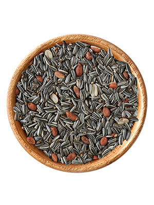 elles - Meisenfutter - 1 x 10 kg - 1