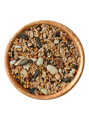 elles - Ganzjahres-Mix - 1 x 20 kg - 1