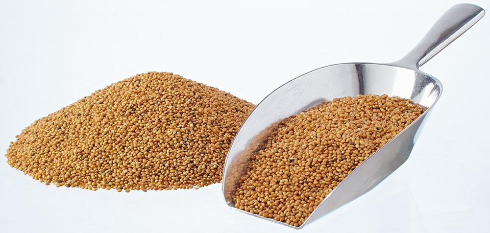 Gelbe Hirse 25 kg