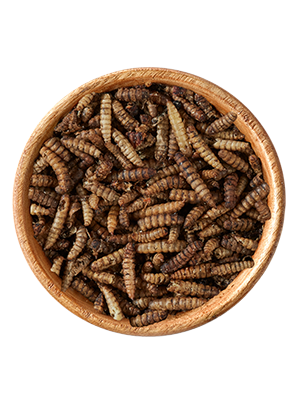 Hermetialarven 125g
