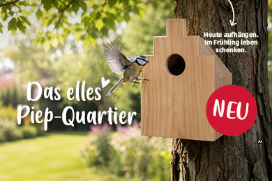 Das elles Piep-Quartier