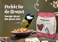 Hero Kachel oben Mehlwürmer