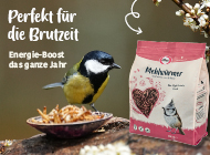 Hero Kachel oben Mehlwürmer