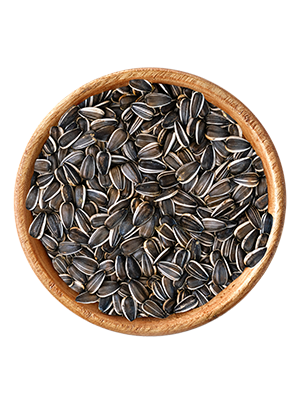 elles - Sonnenblumenkerne - 1 x 20 kg - 1