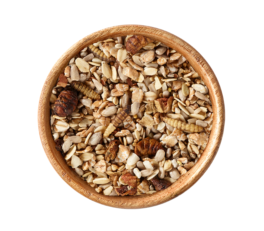 elles Balkon-Mix 1 kg